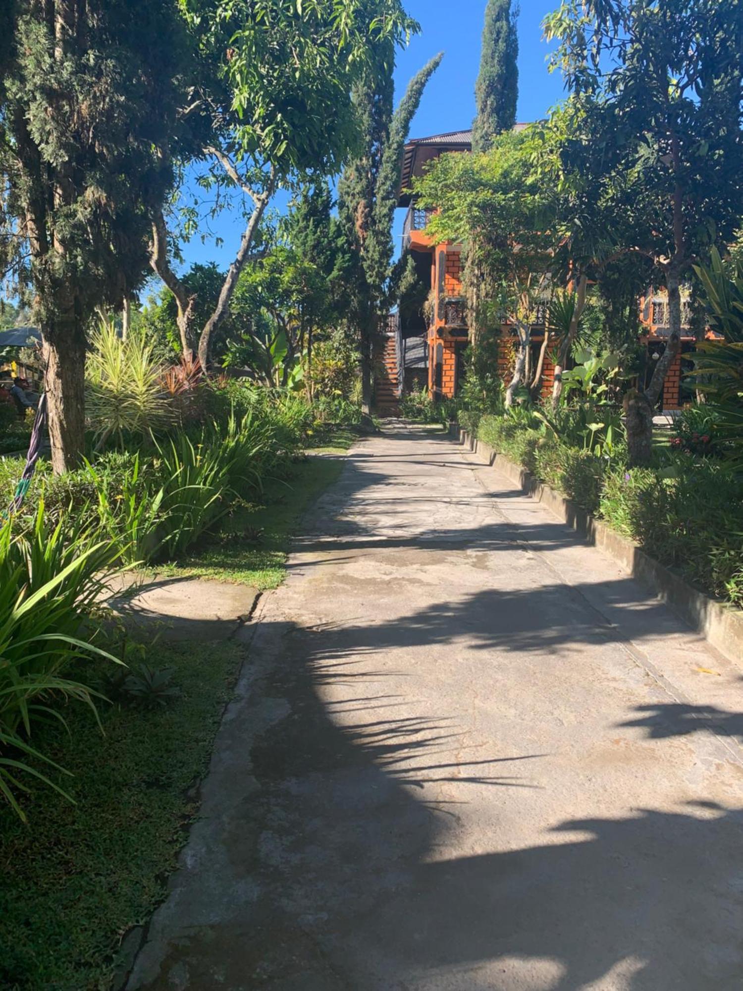 Batur Sunrise Guesthouse Kintamani Exterior foto