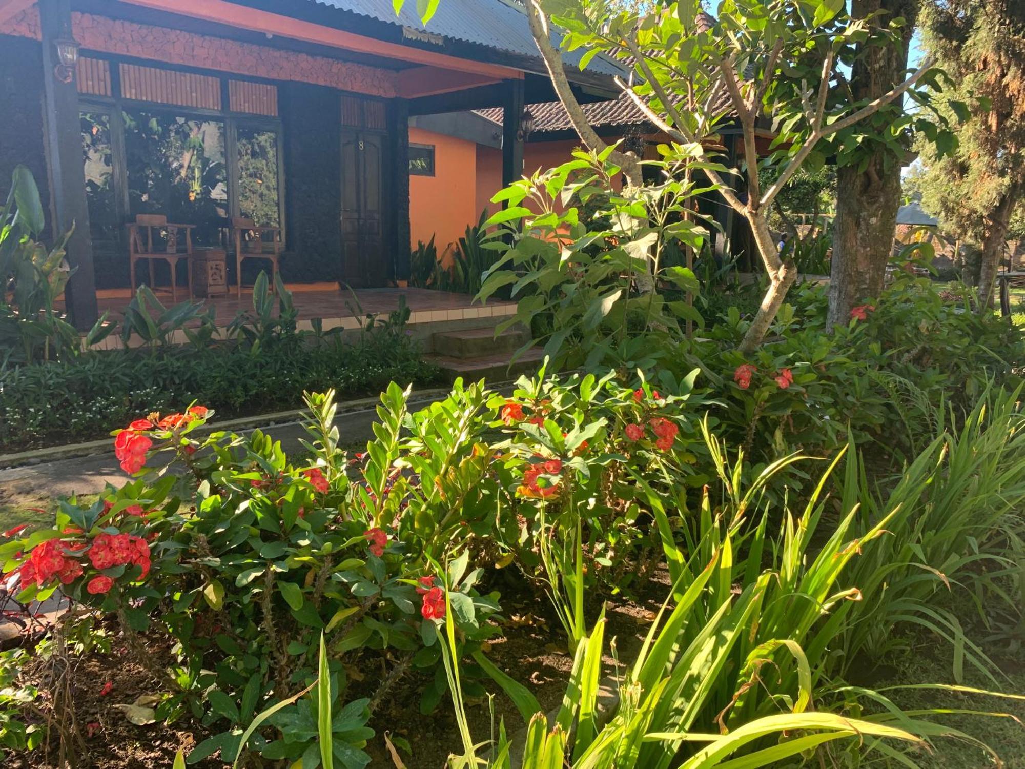 Batur Sunrise Guesthouse Kintamani Exterior foto